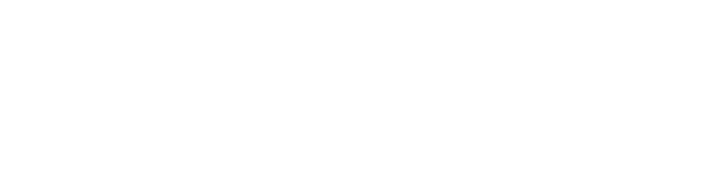 Artemer.webp