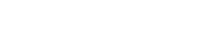 Blundstone.webp