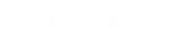 Decoratd.webp