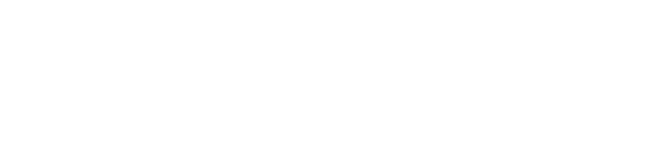 Wild-Republic.webp